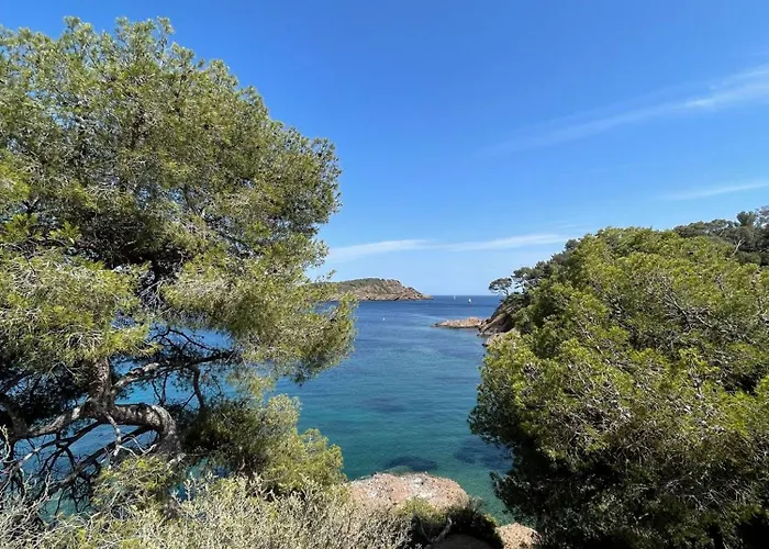 Apartment Perle Rare A La Ciotat