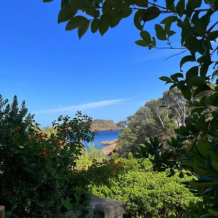 Perle Rare A Lägenhet