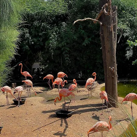 Διαμέρισμα Perle Rare A Λα Σιοτά